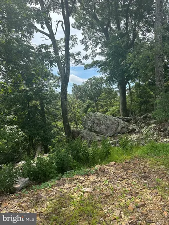 a view of a lake view