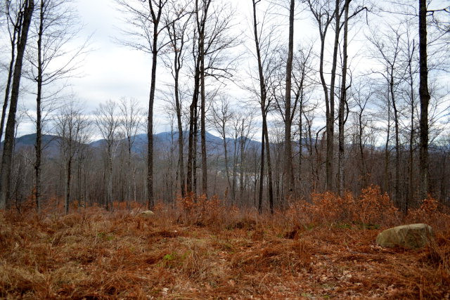 Lot 4 Hawk Ridge Saranac Lake, NY 12983 - Photo 14 of 14 Gallery Image 14