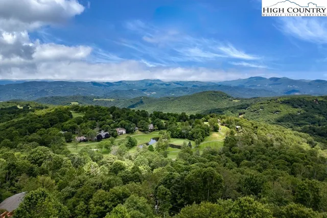 a view of a city with lush green forest