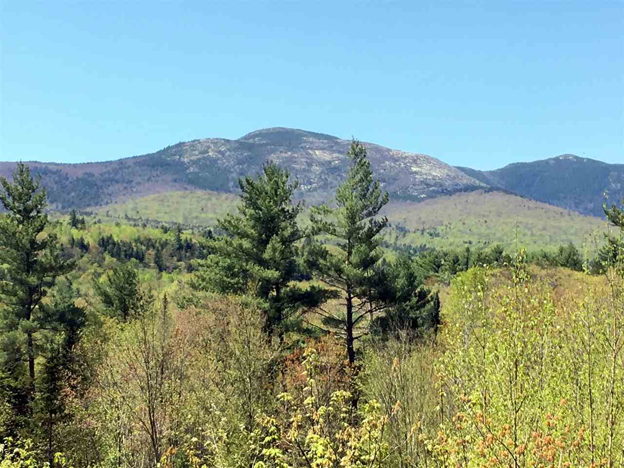 1 Deer Hill Road Center Conway, NH 03813 - Photo 1 of 16