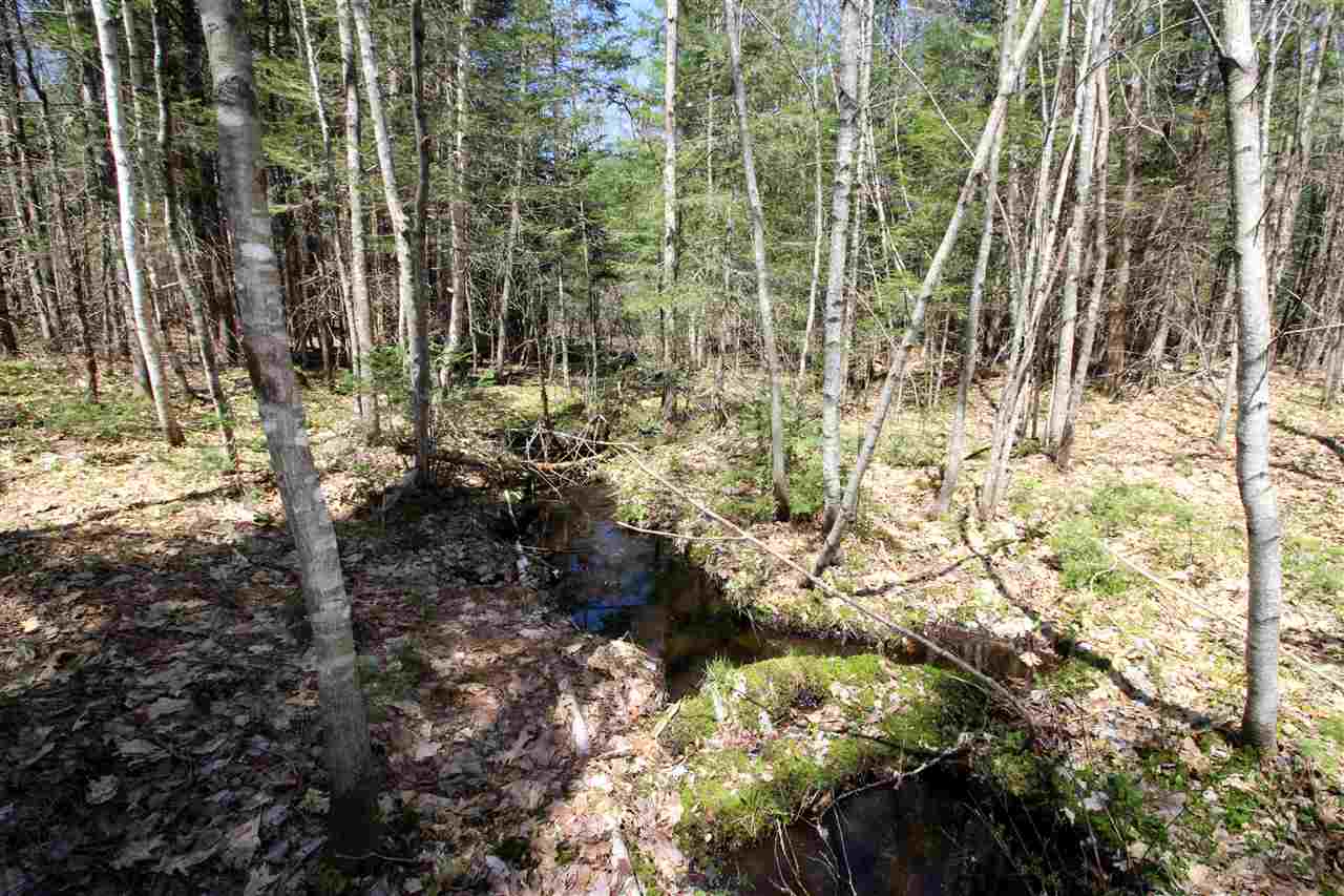 1 Deer Hill Road Center Conway, NH 03813 - Photo 14 of 16