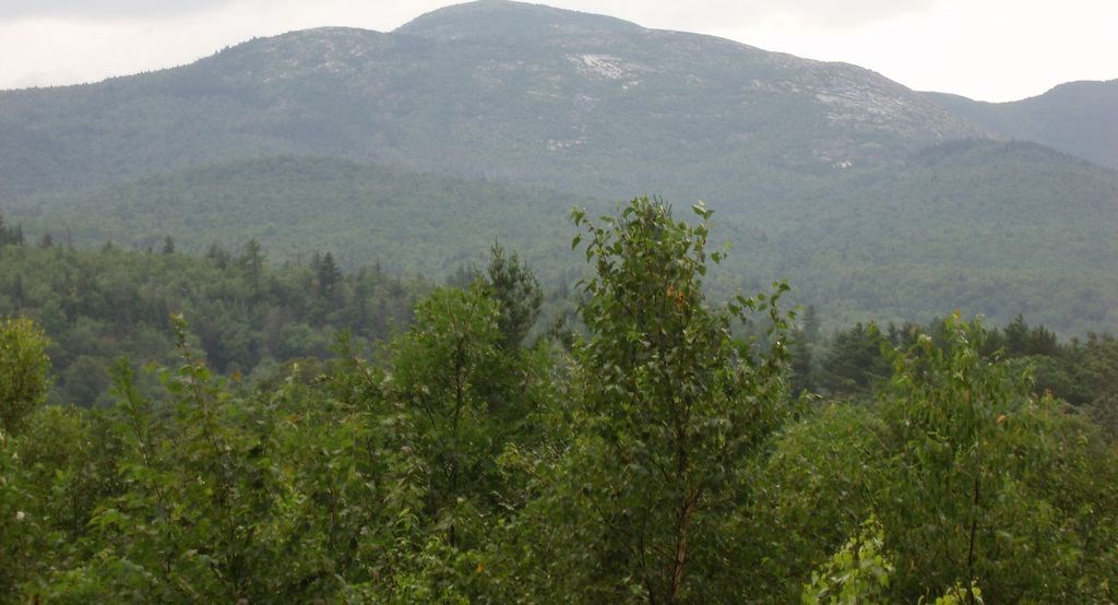 1 Deer Hill Road Center Conway, NH 03813 - Photo 6 of 16