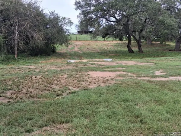 a view of a yard with a tree