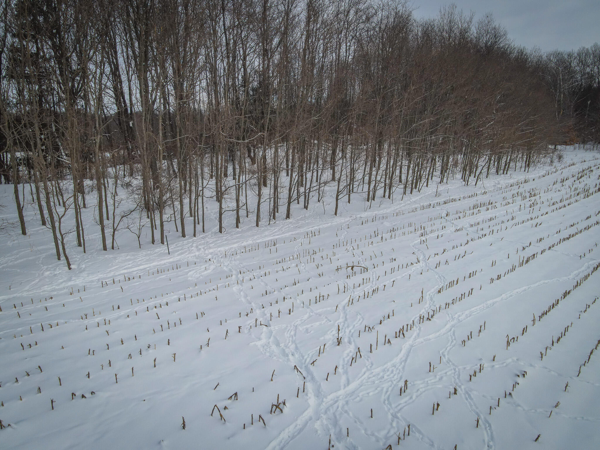 V/l West Johnson Road Shelby, MI 49455 - Photo 11 of 27 DJI_0292