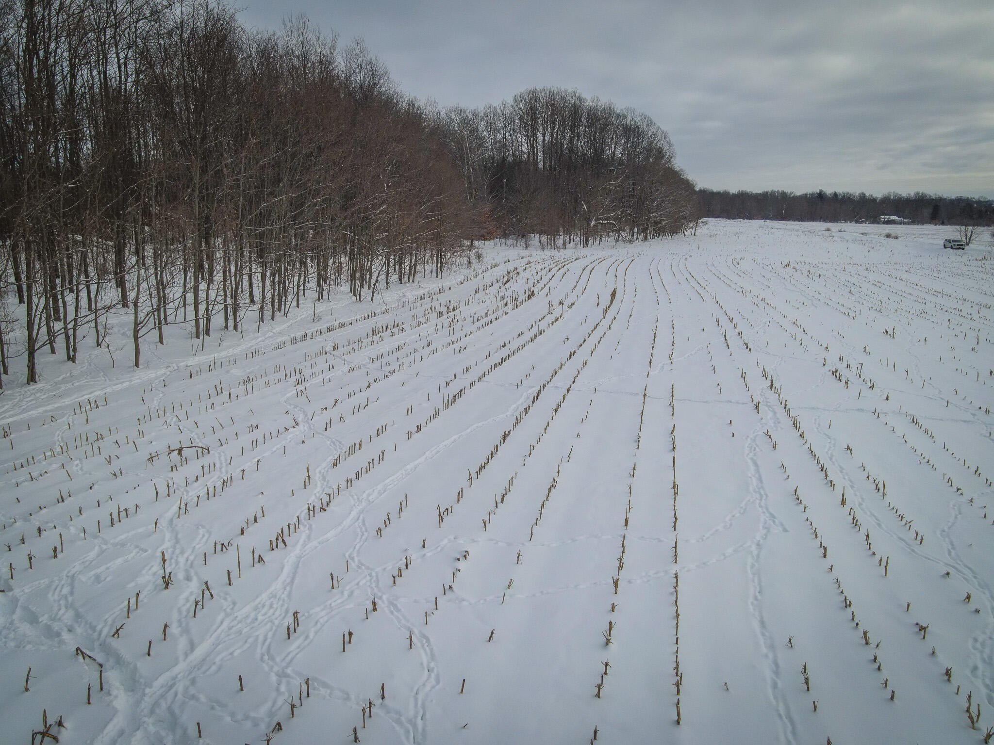 V/l West Johnson Road Shelby, MI 49455 - Photo 12 of 27 DJI_0293
