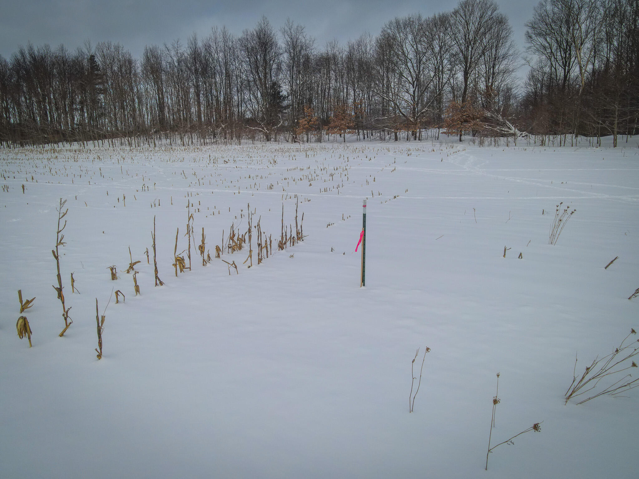 V/l West Johnson Road Shelby, MI 49455 - Photo 13 of 27 DJI_0298