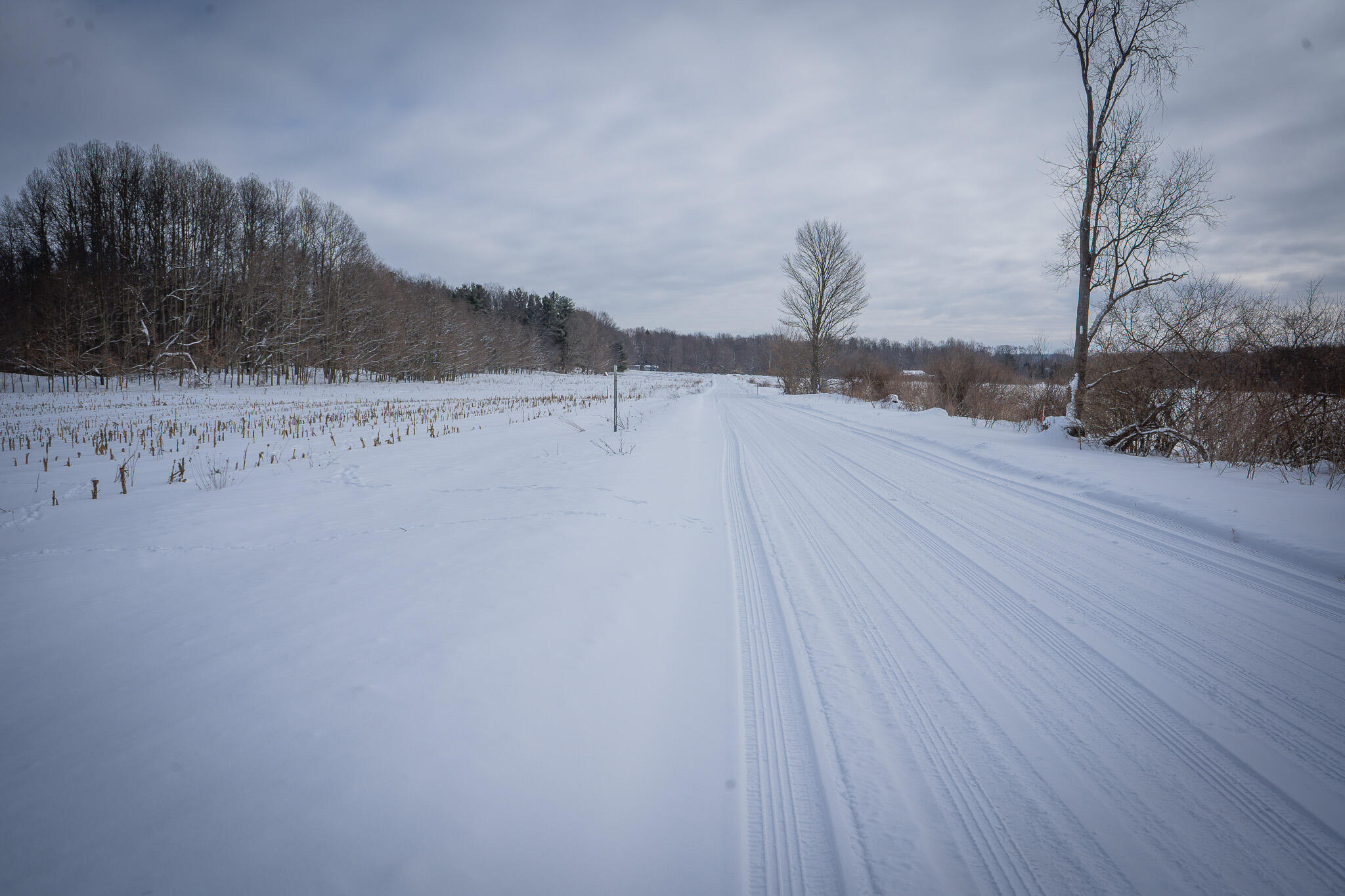 V/l West Johnson Road Shelby, MI 49455 - Photo 21 of 27 DSC07565