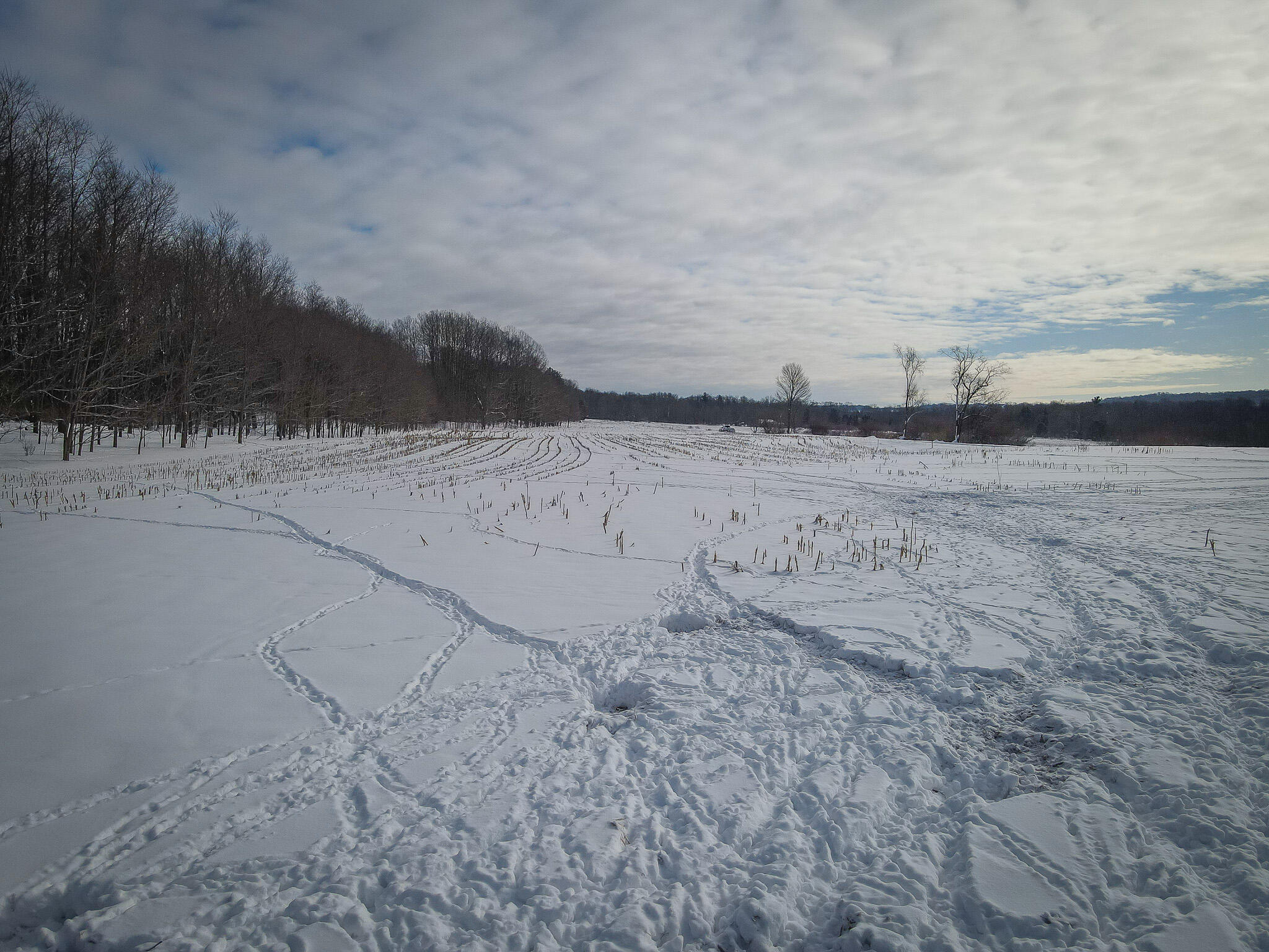 V/l West Johnson Road Shelby, MI 49455 - Photo 7 of 27 DJI_0260