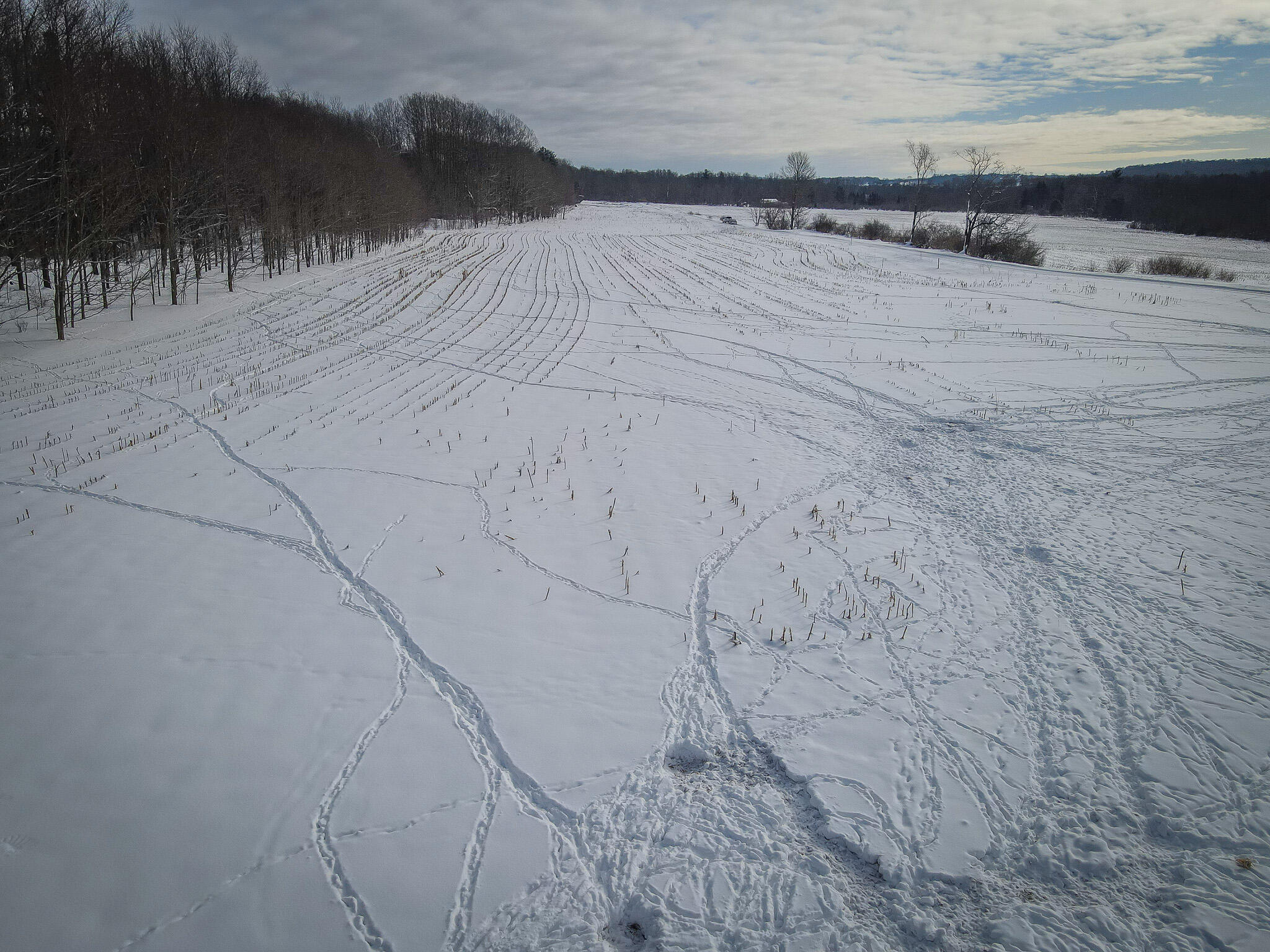 V/l West Johnson Road Shelby, MI 49455 - Photo 8 of 27 DJI_0261