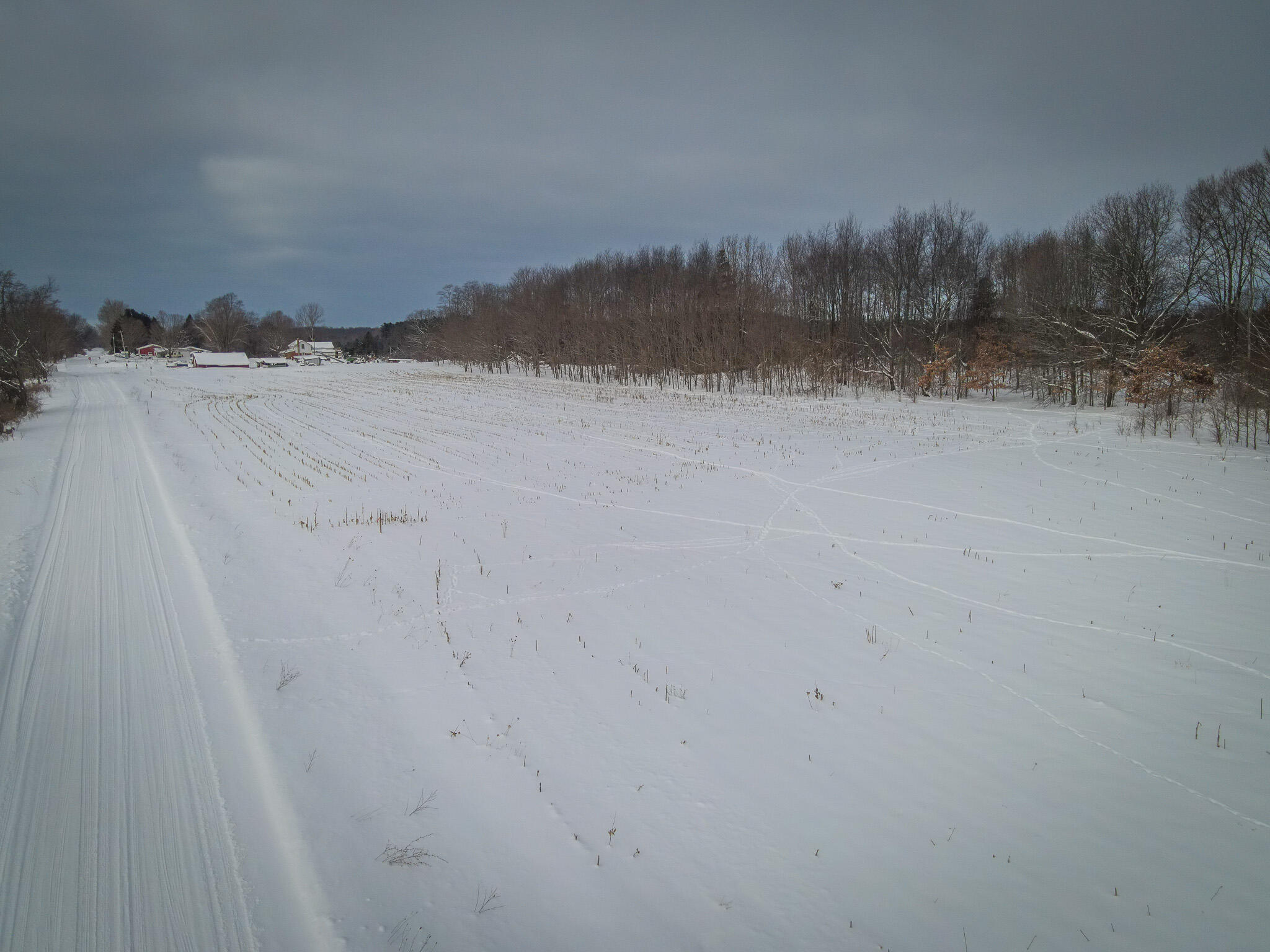 V/l West Johnson Road Shelby, MI 49455 - Photo 9 of 27 DJI_0276