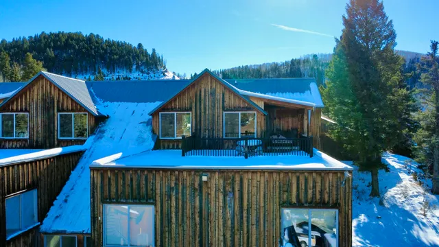a view of a houses with the snow in the background