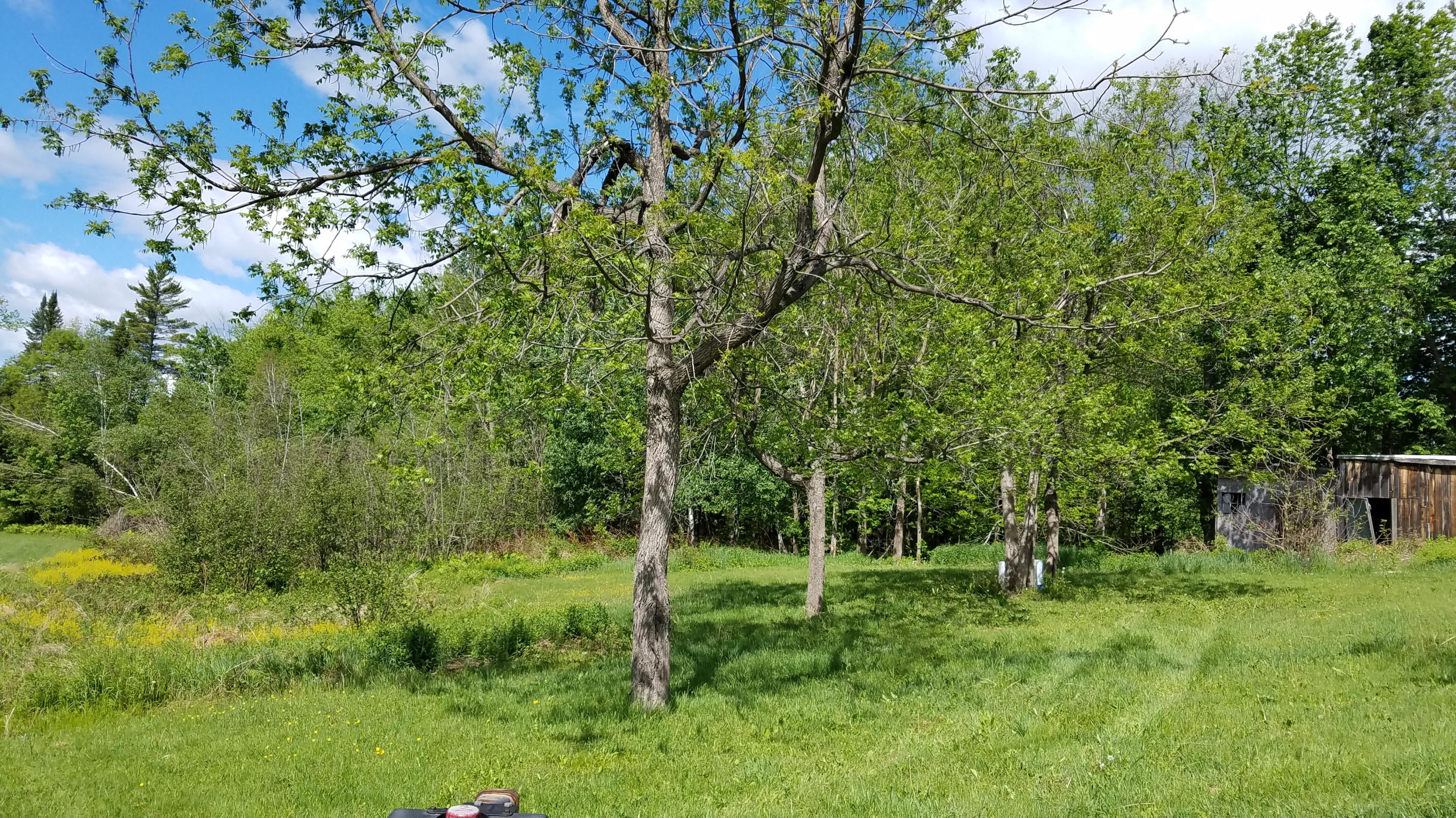 801 Knowlton Corner Road Farmington, ME 04938 - Photo 38 of 53 20200601_100455