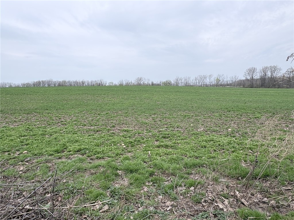 5740 Running Brook Road Farmington, NY 14425 - Photo 22 of 25 Field (back of property)