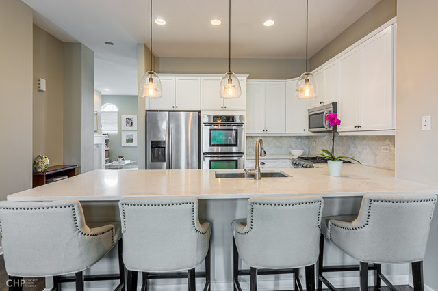 1723 West George Street Chicago, IL 60657 - Photo 2 of 22