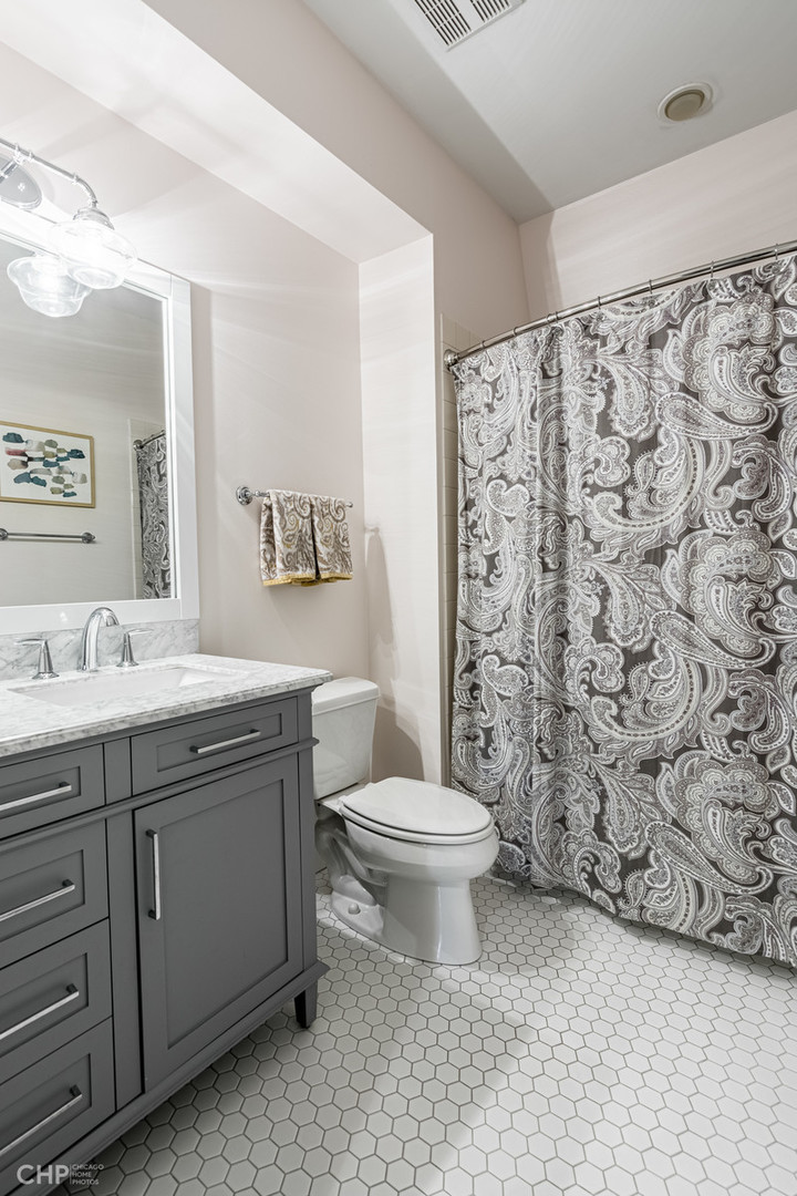1723 West George Street Chicago, IL 60657 - Photo 12 of 22