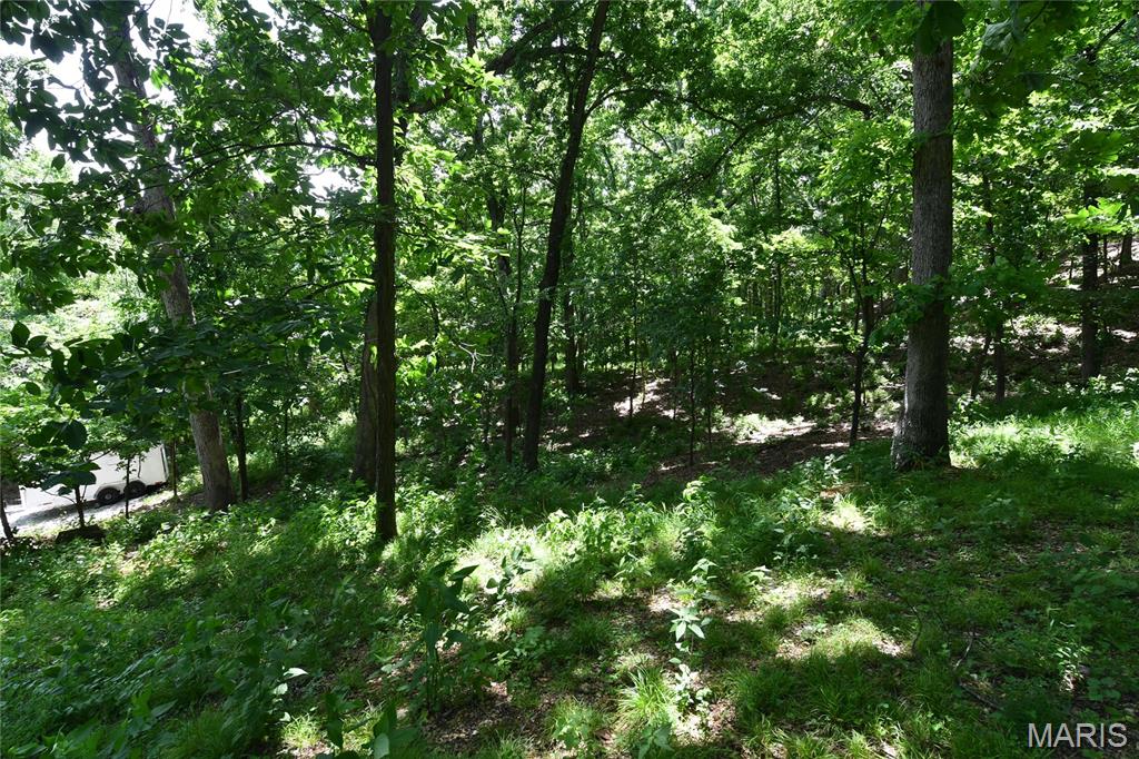 903 Strecker Road Wildwood, MO 63005 - Photo 54 of 56