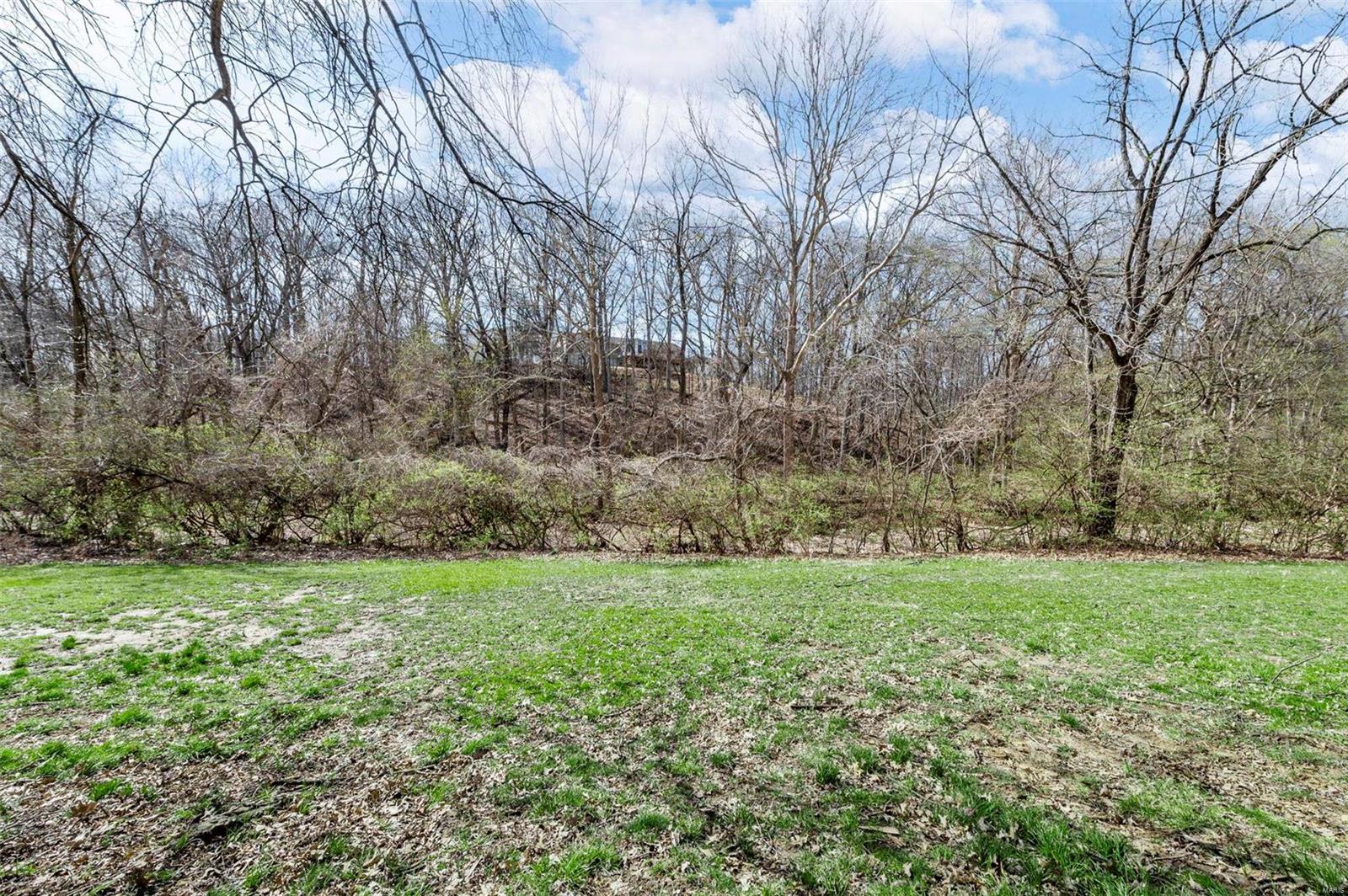 963 Silversprings Lane Manchester, MO 63021 - Photo 26 of 27