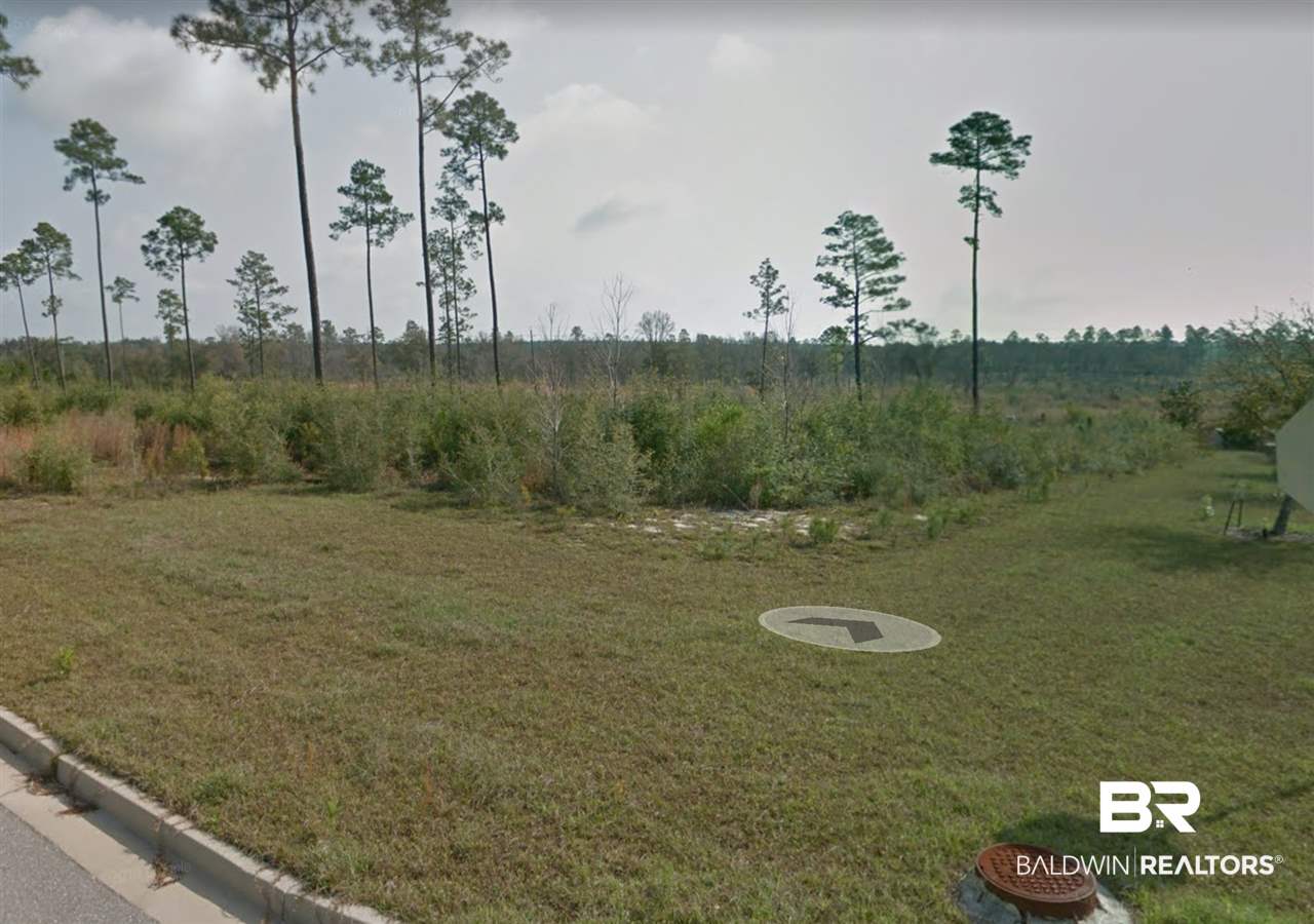 Lot 1 Tall Timbers Lane Elberta, AL 36530 - Photo 1 of 1