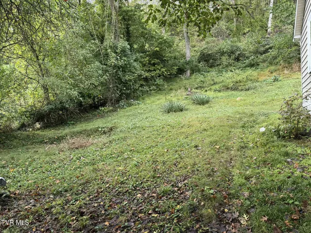 $83,000 | 3201 Third Avenue, St. Paul, VA 24283