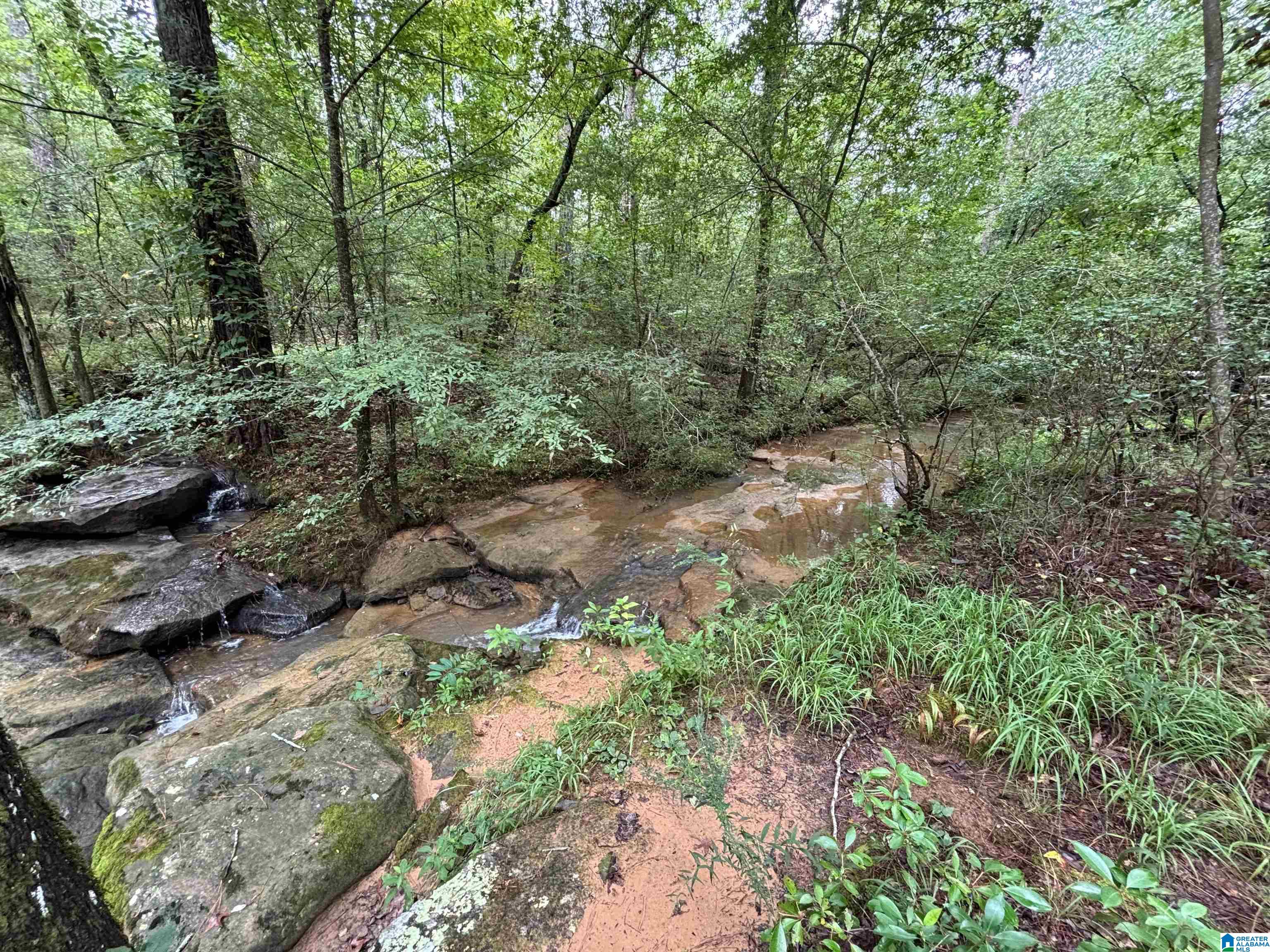 Loop Road, Unit 18 Steele, AL 35987 - Photo 2 of 9