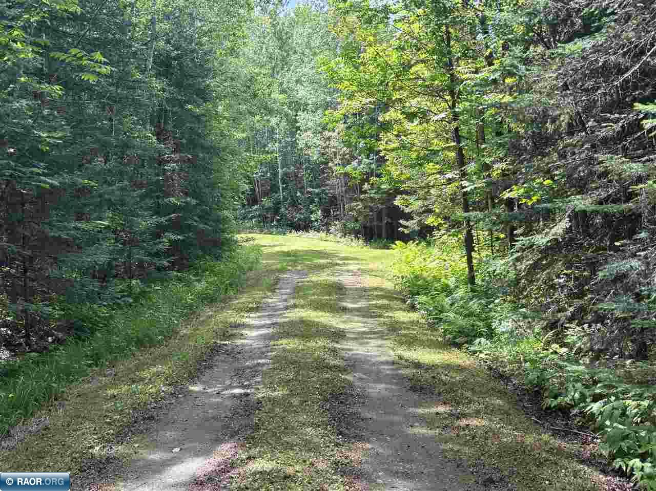 11703 Jacobs Road Orr, MN 55771 - Photo 3 of 4