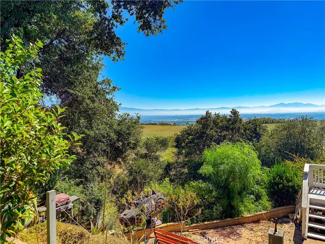 a view of a flower in a garden