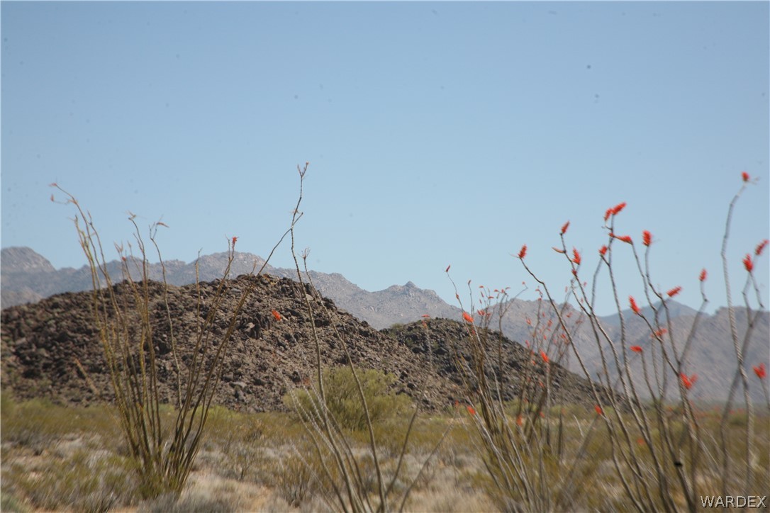 245-24-067a Lorton Road Yucca, AZ 86438 - Photo 9 of 42