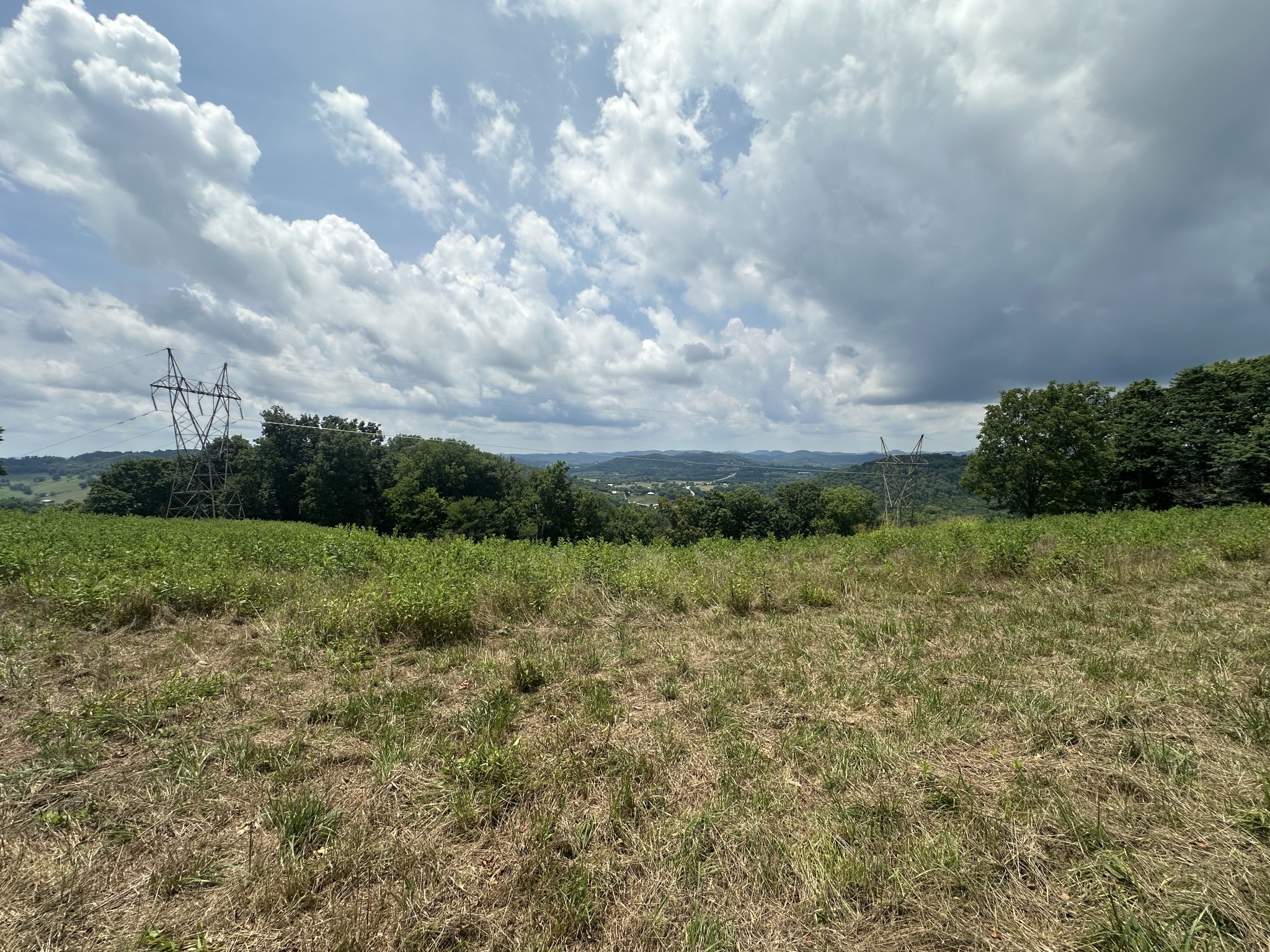 89 Conditt Hollow Road Elmwood, TN 38560 - Photo 3 of 13