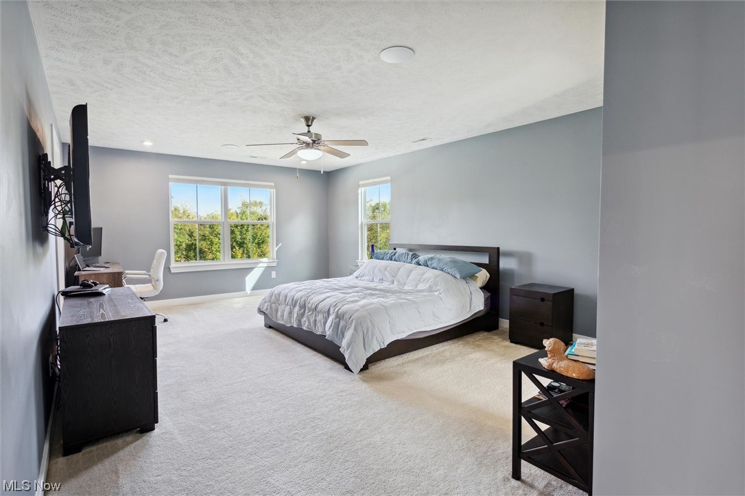 256 Stone Ridge Way Berea, OH 44017 - Photo 22 of 32 Carpeted bedroom with ceiling fan and a textured ceiling