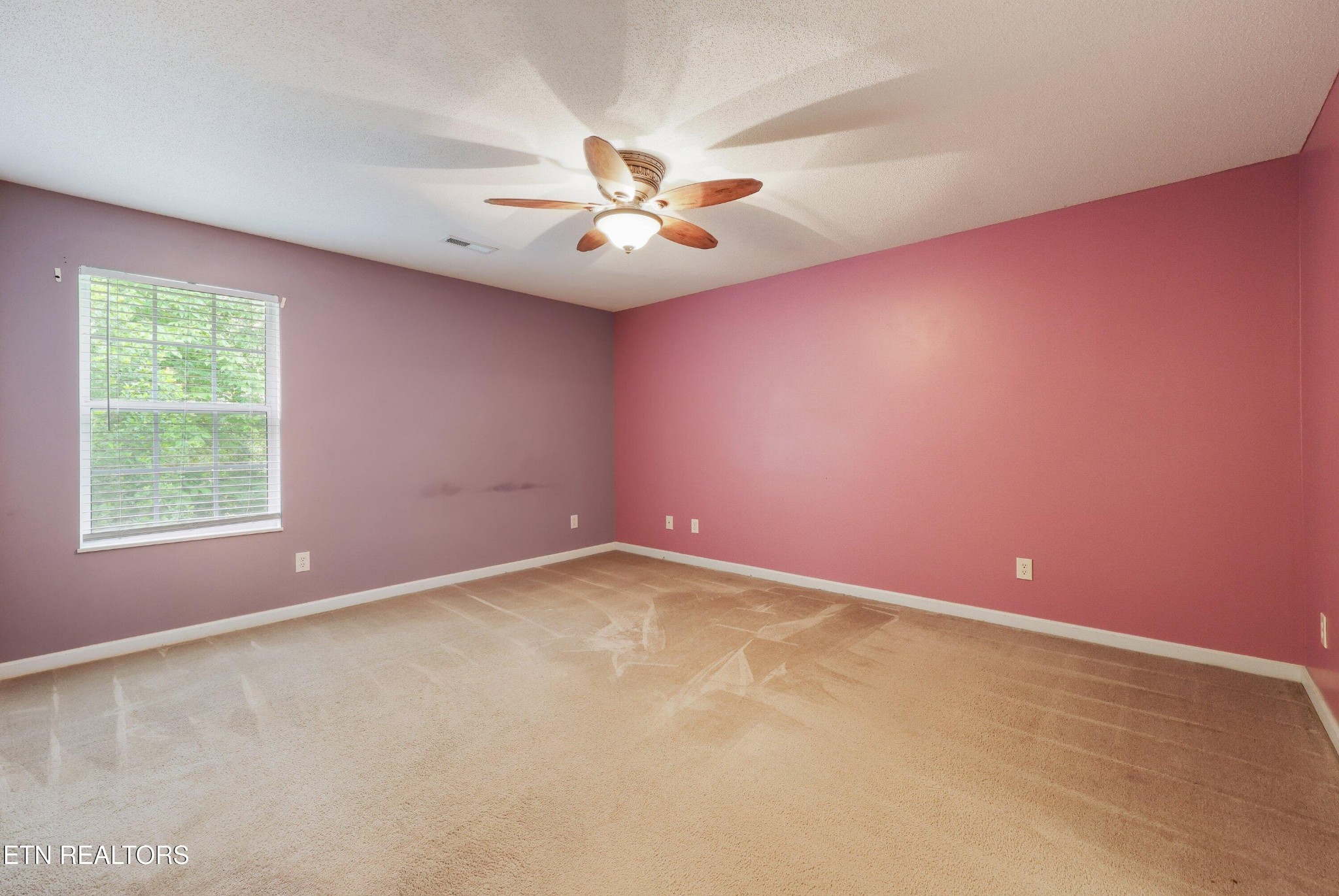 6626 Hugh Willis Road Powell, TN 37849 - Photo 12 of 26