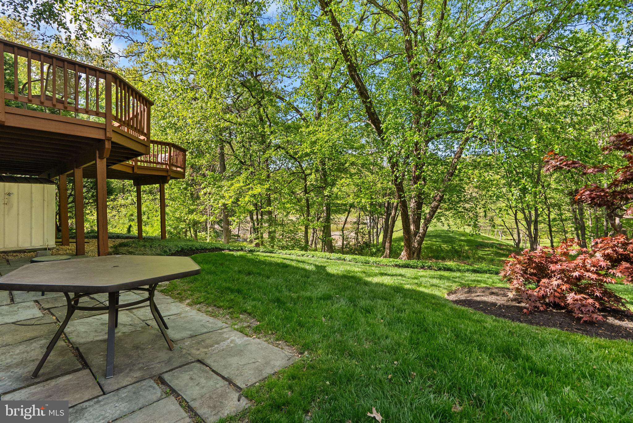 3128 Memory Lane Silver Spring, MD 20904 - Photo 43 of 49 Serene backyard oasis with lush greenery.