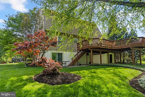 a tall tree in middle of the green field