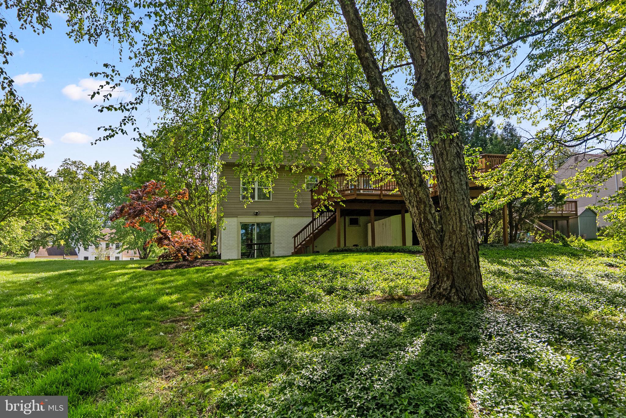 3128 Memory Lane Silver Spring, MD 20904 - Photo 45 of 49 Serene backyard retreat in nature.