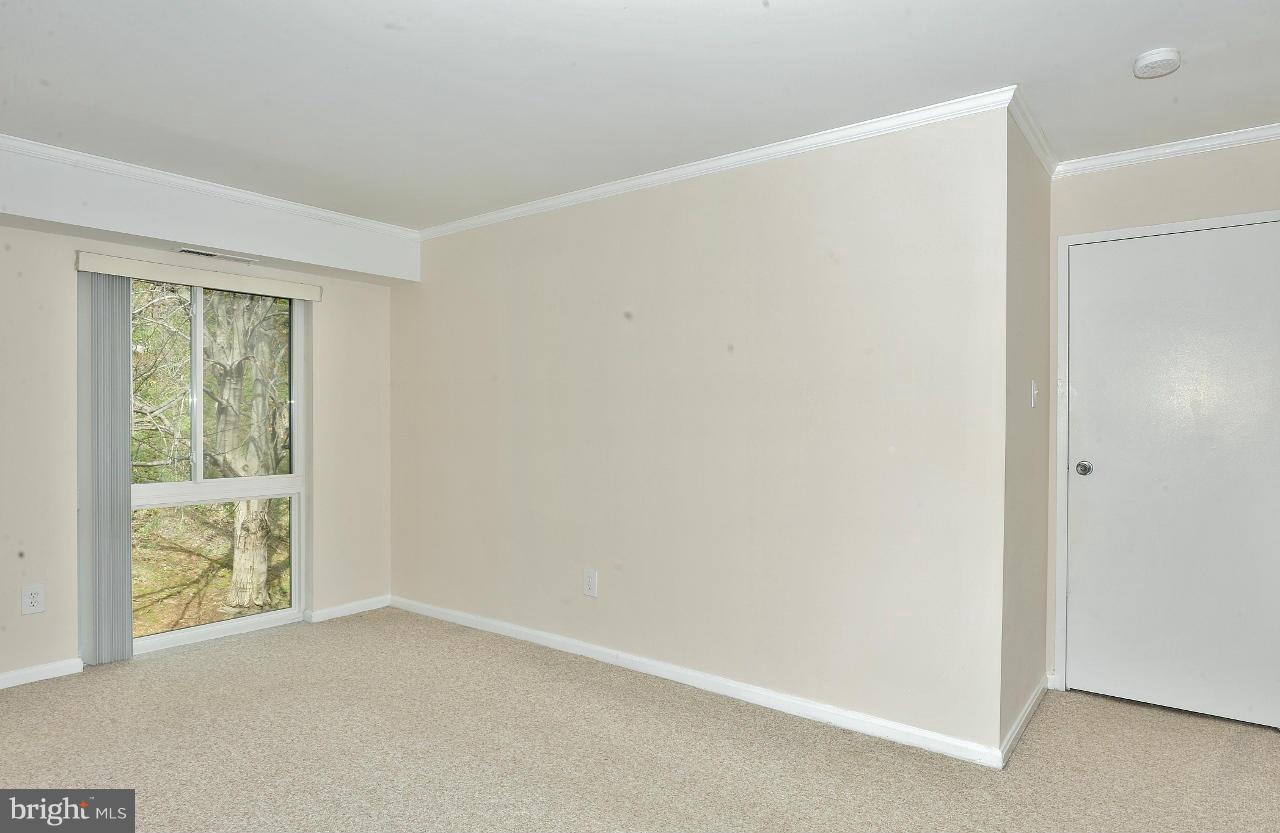 6155 Edsall Road, Unit K Alexandria, VA 22304 - Photo 16 of 20 Master Bedroom