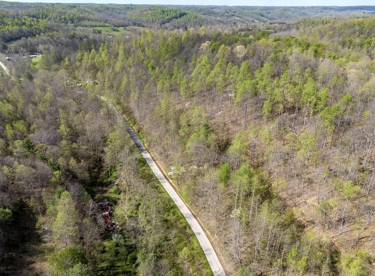 0 Brinegar Road Olive Hill, KY 40351 - Photo 2 of 10