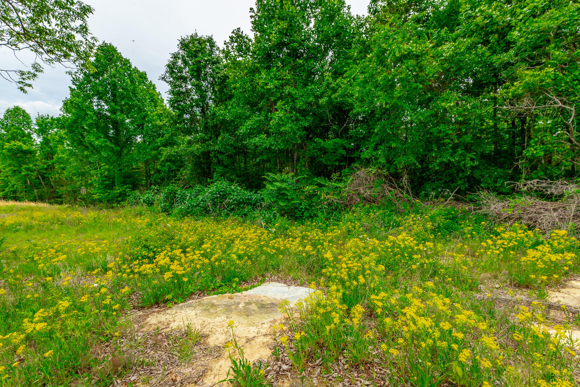 0 Ray Gadd Road Graysville, TN 37338 - Photo 70 of 109 Ray Gadd Road Lot HD-15