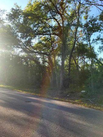 $23,500 | Lot 22 Canopy Lane, Perry, FL 32347