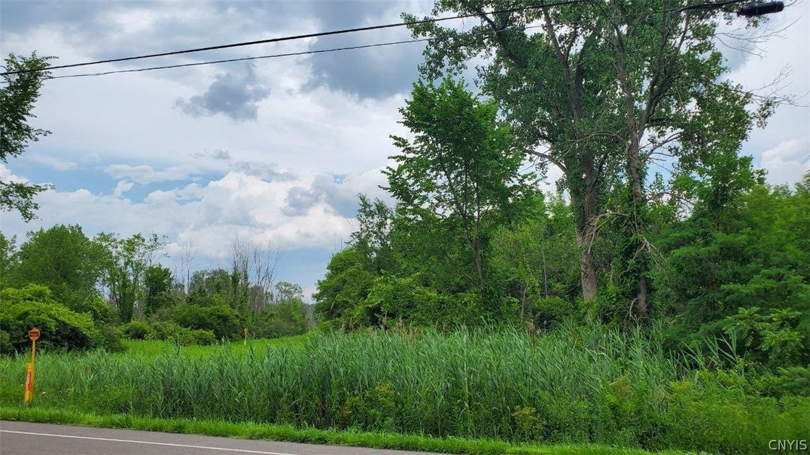 0 Herman Road Warners, NY 13164 - Photo 8 of 11 Gallery Image 8