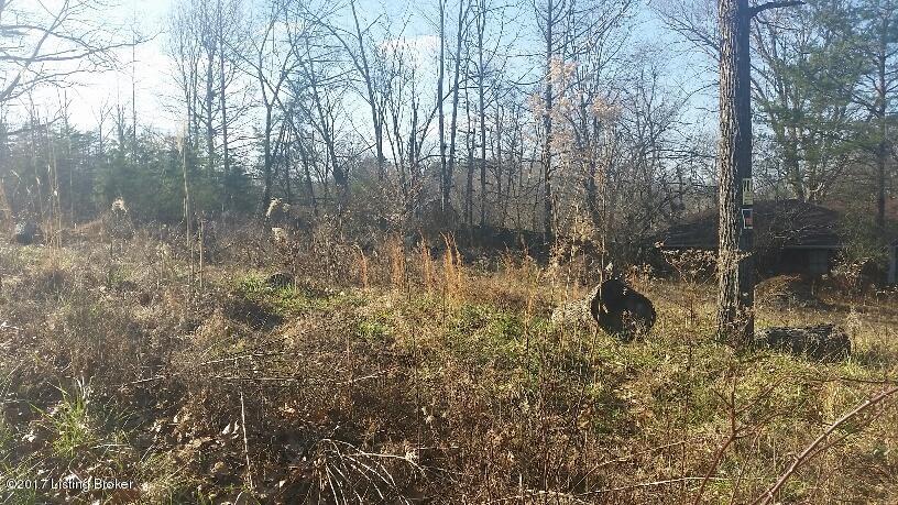 10106 Keys Ferry Road Fairdale, KY 40118 - Photo 3 of 4 20170124_150422_resized