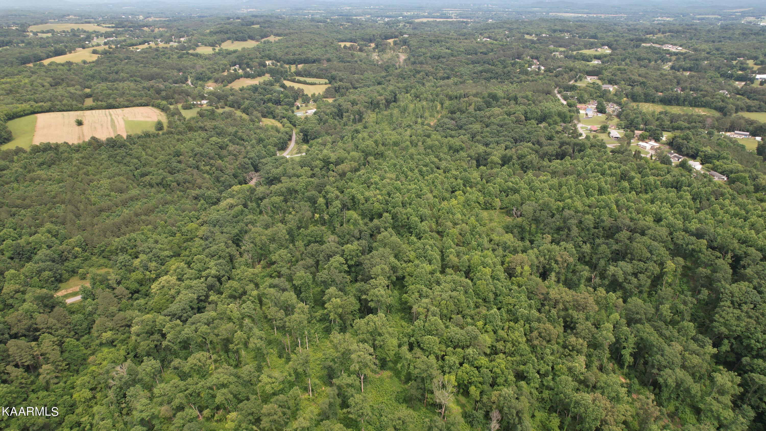 0 Rhea County Highway Dayton, TN 37321 - Photo 11 of 37 Photo Jun 10, 4 21 17 PM (11)