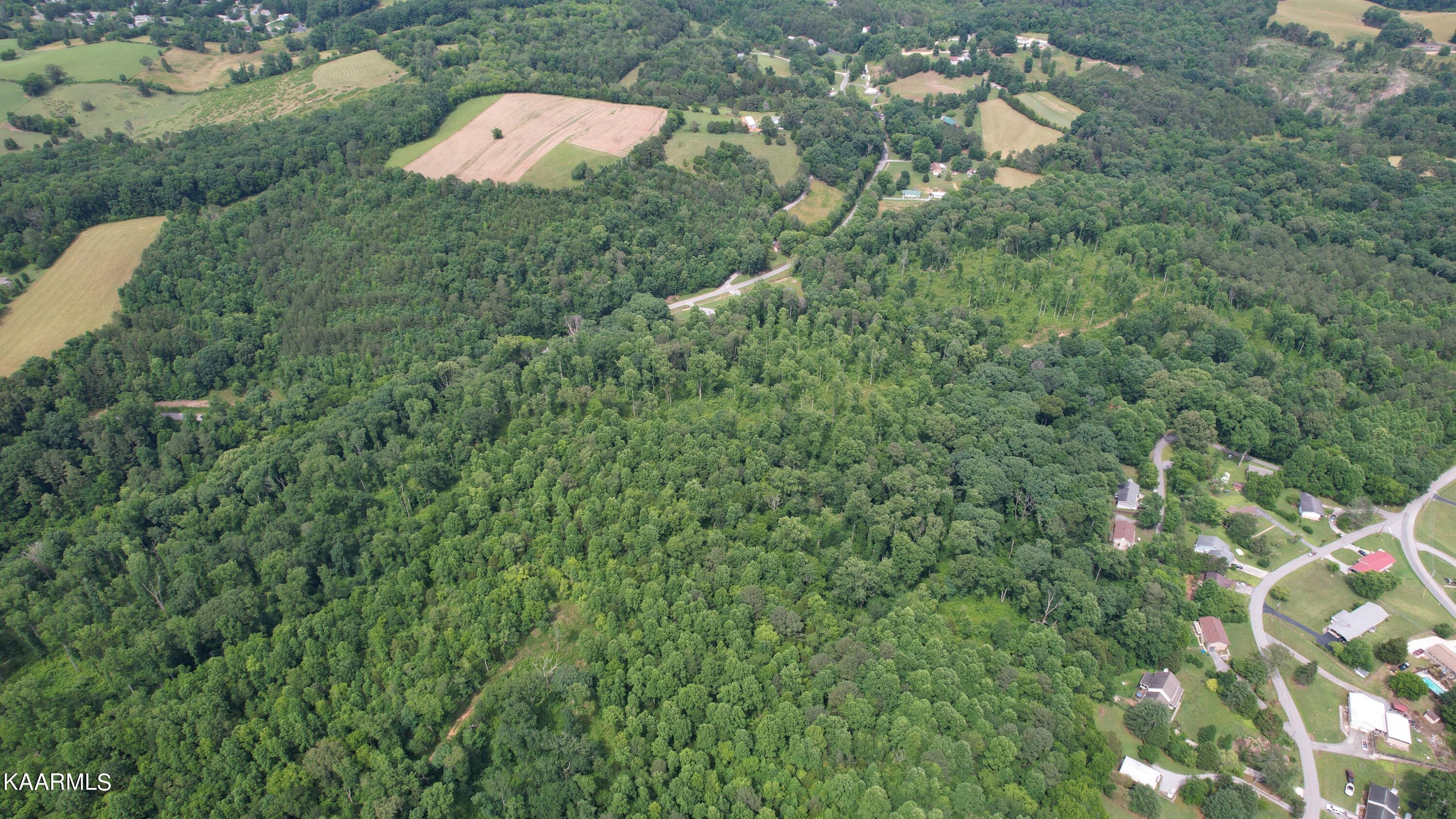 0 Rhea County Highway Dayton, TN 37321 - Photo 28 of 37 Photo Jun 10, 4 21 17 PM (30)