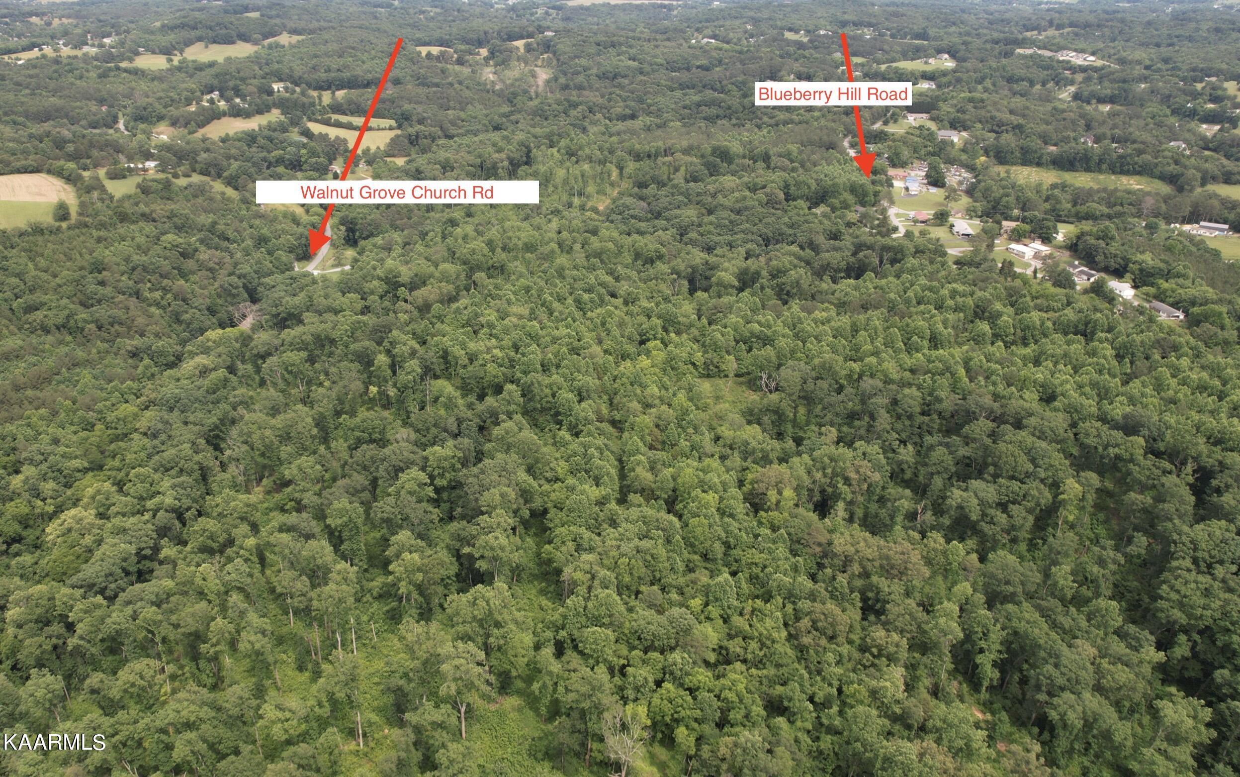 0 Rhea County Highway Dayton, TN 37321 - Photo 3 of 37 3