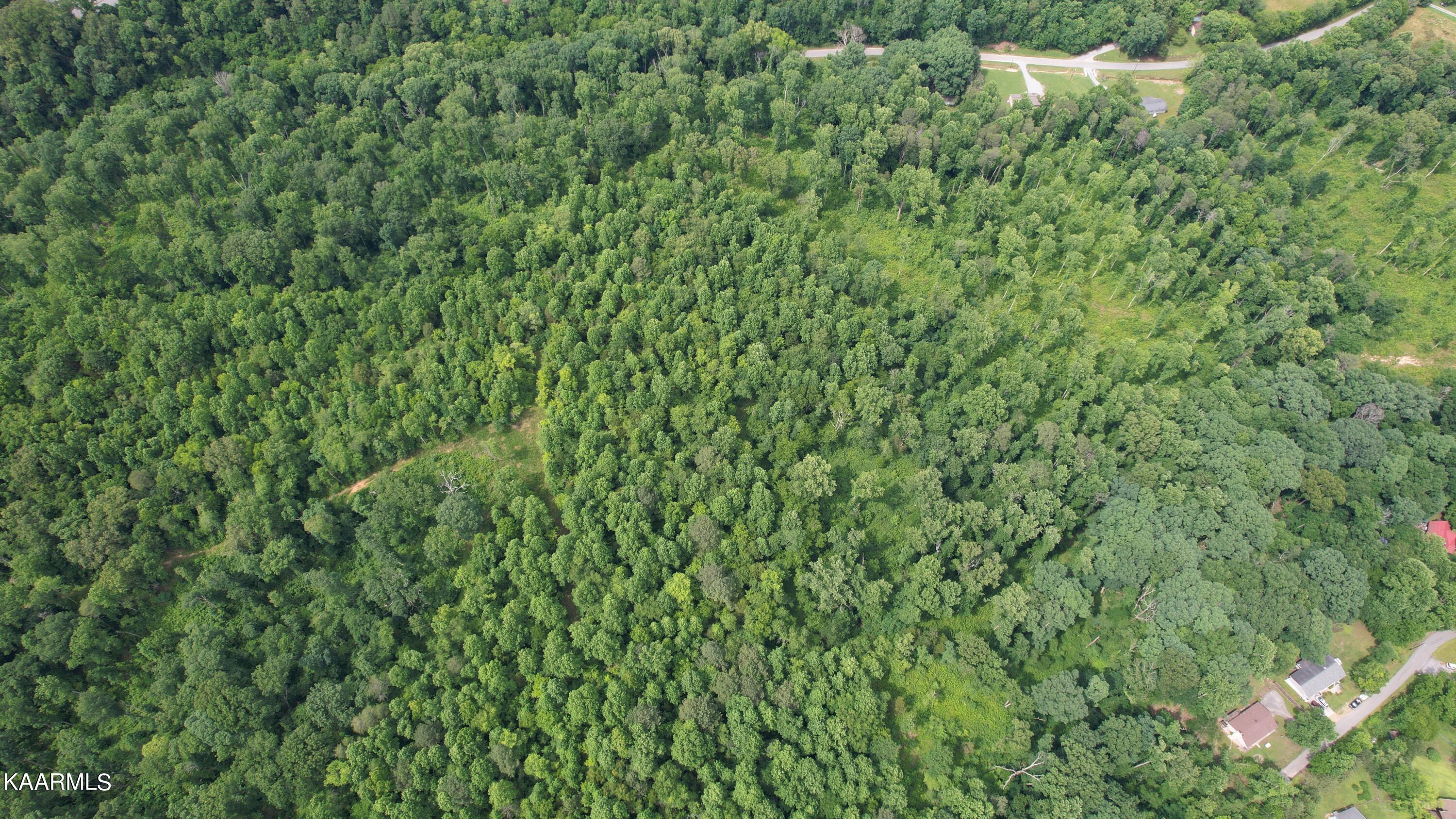 0 Rhea County Highway Dayton, TN 37321 - Photo 31 of 37 Photo Jun 10, 4 21 17 PM (33)