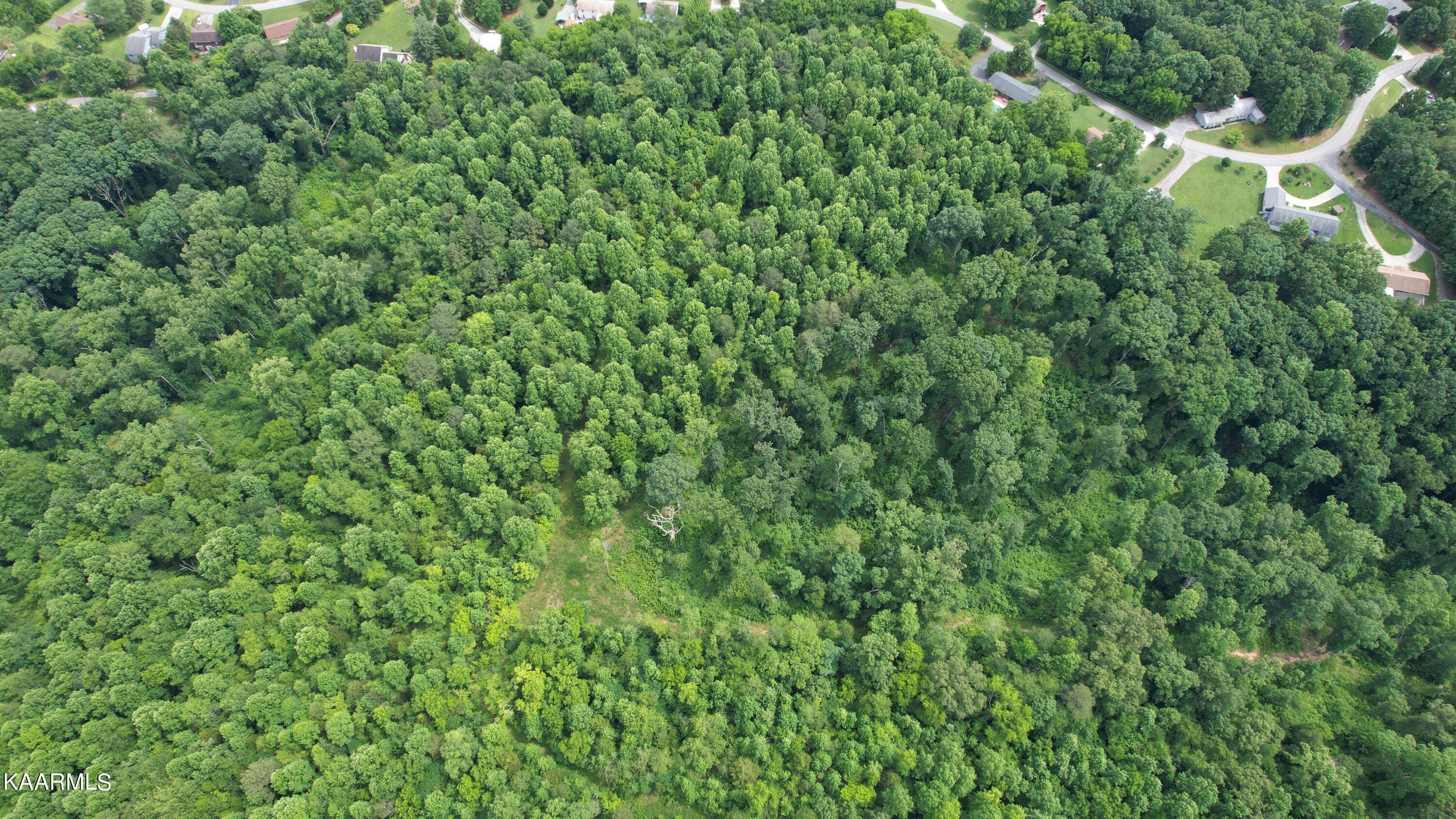 0 Rhea County Highway Dayton, TN 37321 - Photo 8 of 37 Photo Jun 10, 4 21 17 PM (8)