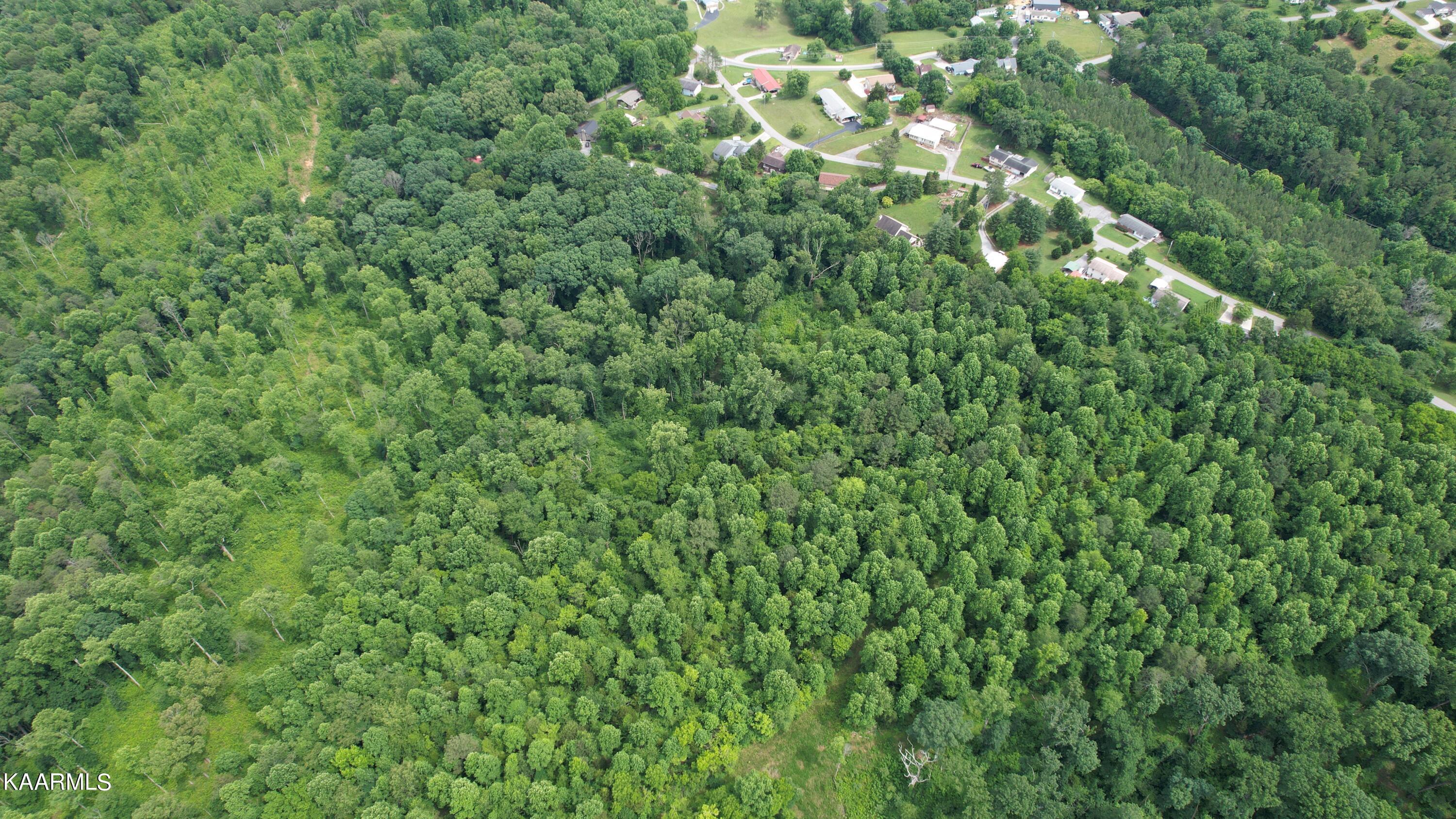 0 Rhea County Highway Dayton, TN 37321 - Photo 9 of 37 Photo Jun 10, 4 21 17 PM (9)