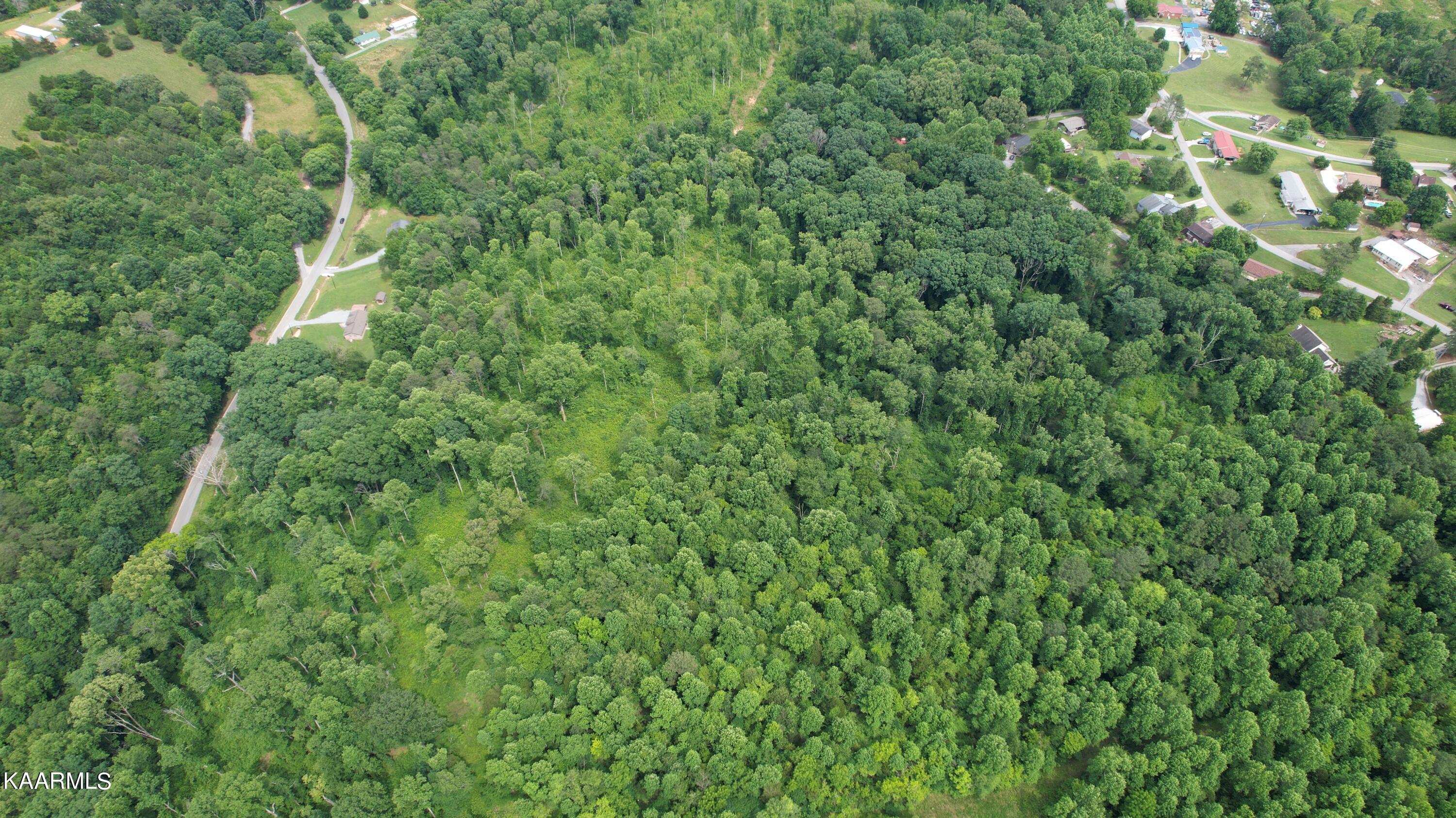 0 Rhea County Highway Dayton, TN 37321 - Photo 10 of 37 Photo Jun 10, 4 21 17 PM (10)