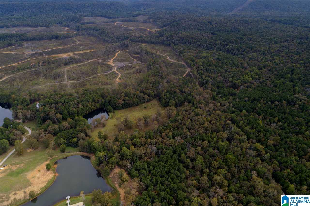 Serene Lake Road, Unit 8471 McCalla, AL 35111 - Photo 12 of 30