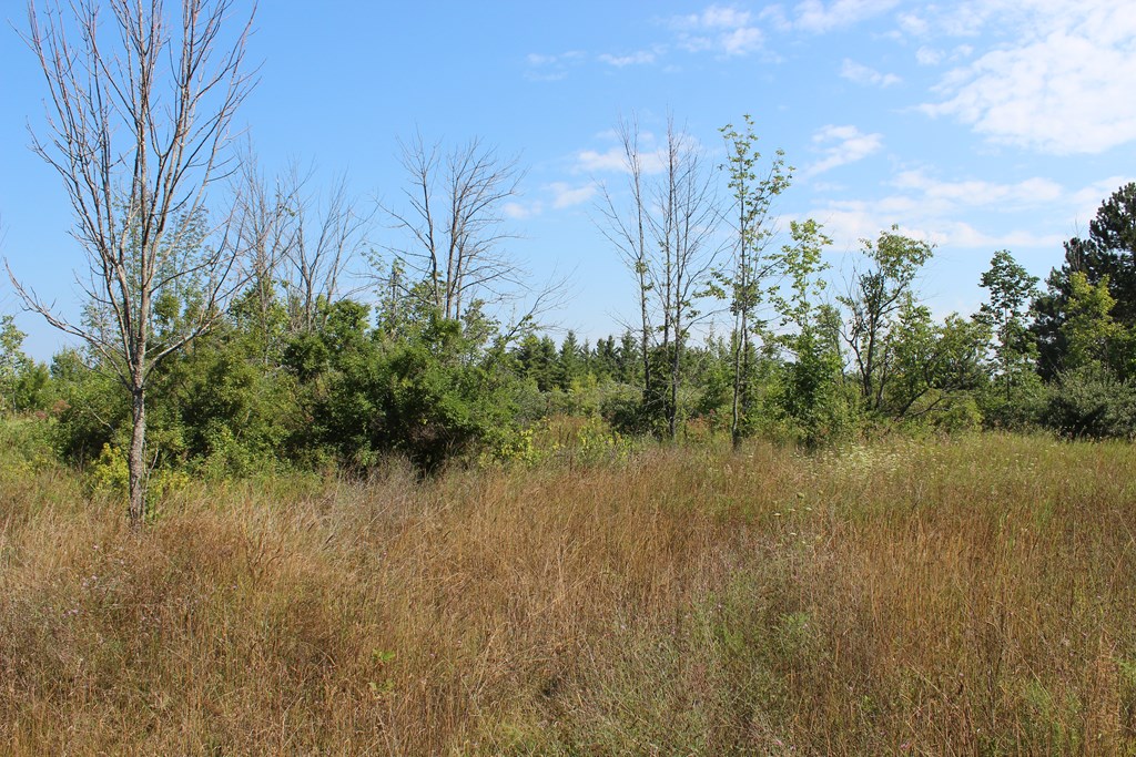 Lot A2 Humbug Road Ellison Bay, WI 54210 - Photo 10 of 10