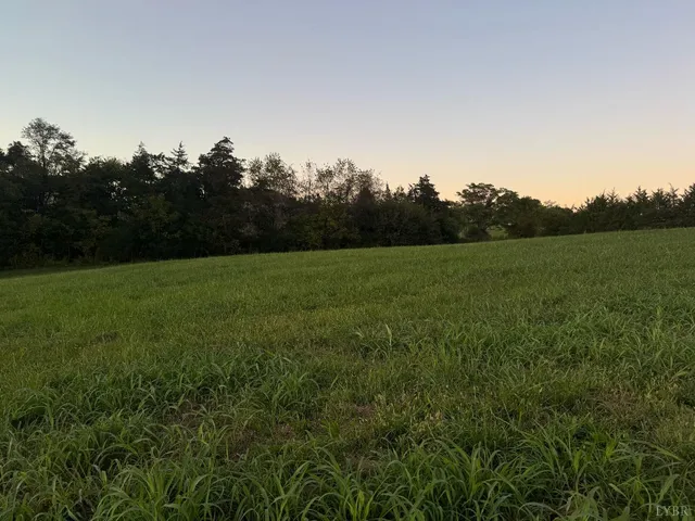 a view of field with trees in the background