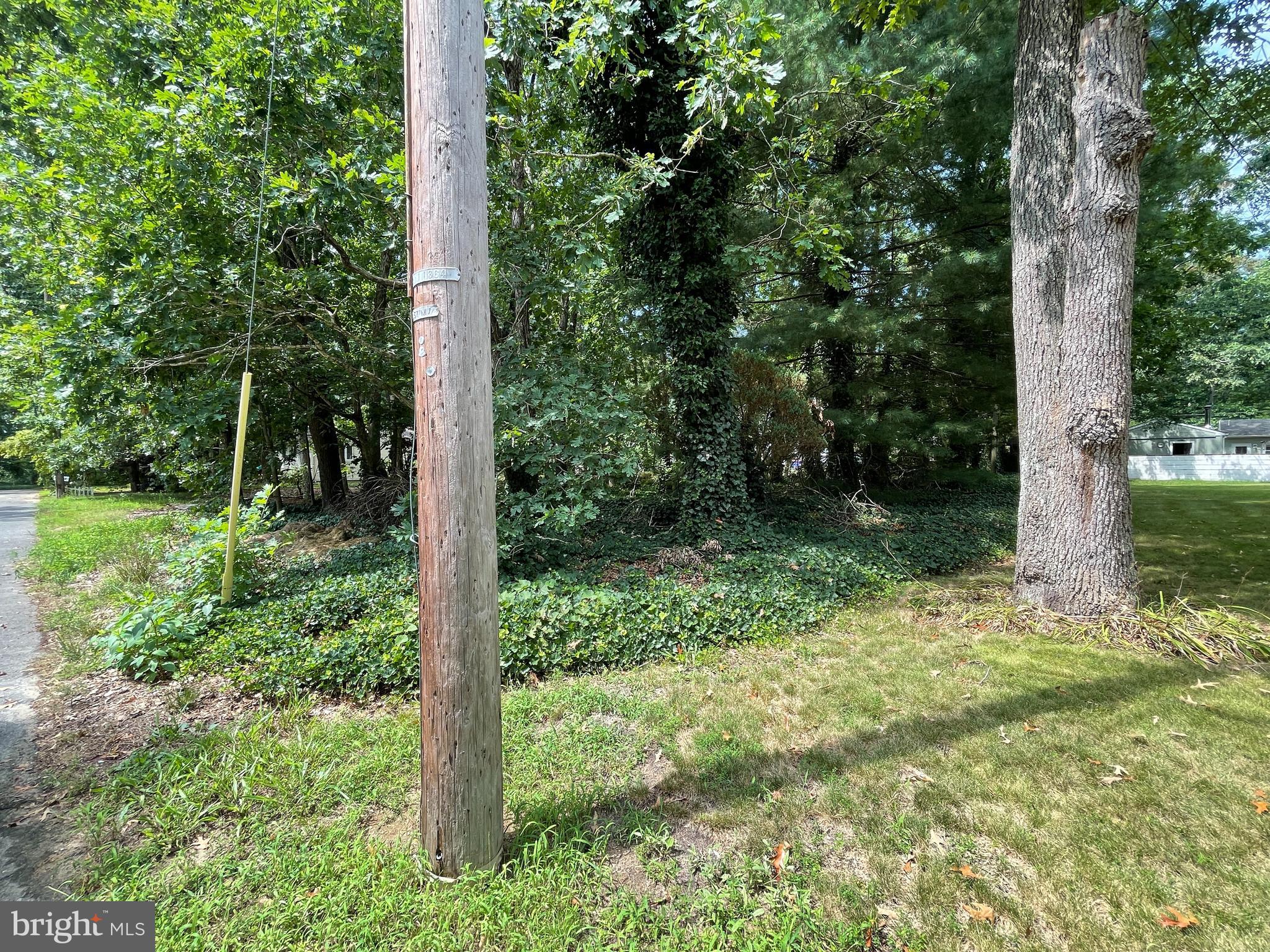 114 Queen Road Millville, NJ 08332 - Photo 4 of 5 Gallery Image 4